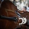 Cello performance in Acrokorinthos